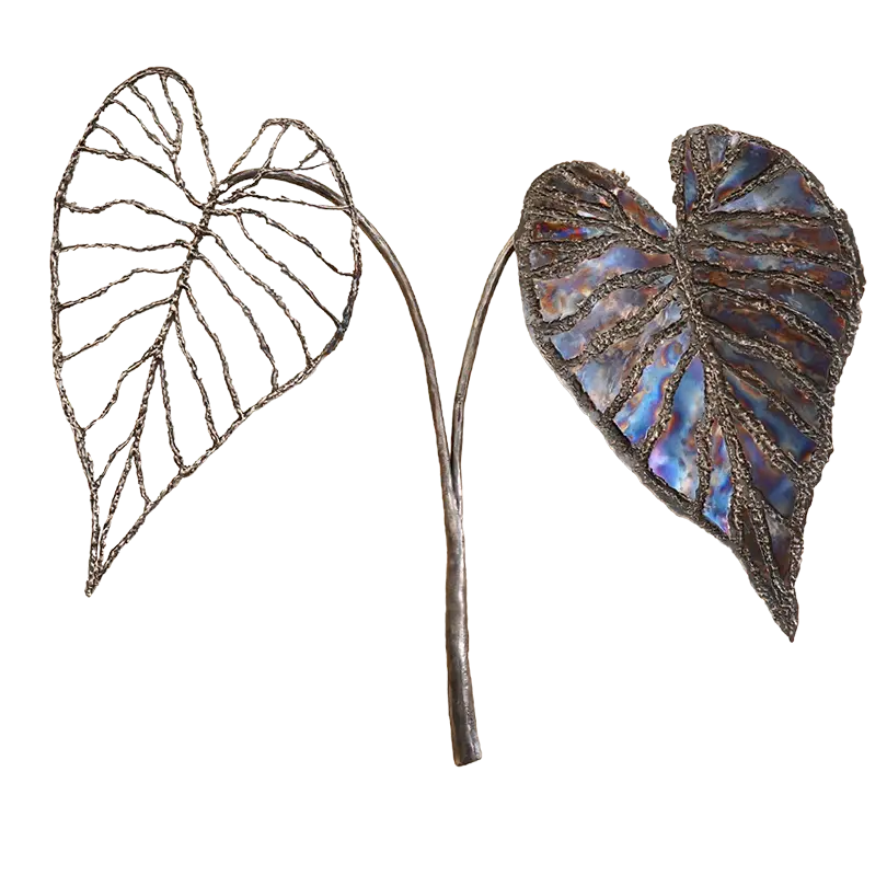 Floral Shield Series: Alocasia Regal Shield