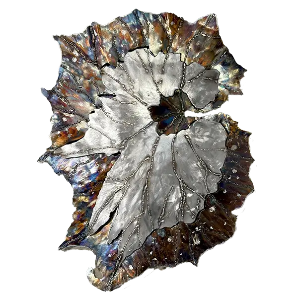 Floral Shield Series: Begonia Jurassic Rex