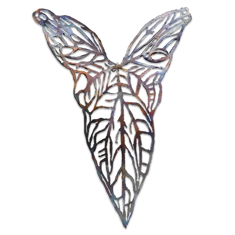Floral Shield Series: Cercestis Mirabilis #2