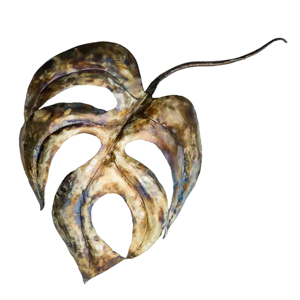 Floral Shield Series: Rhaphidophora