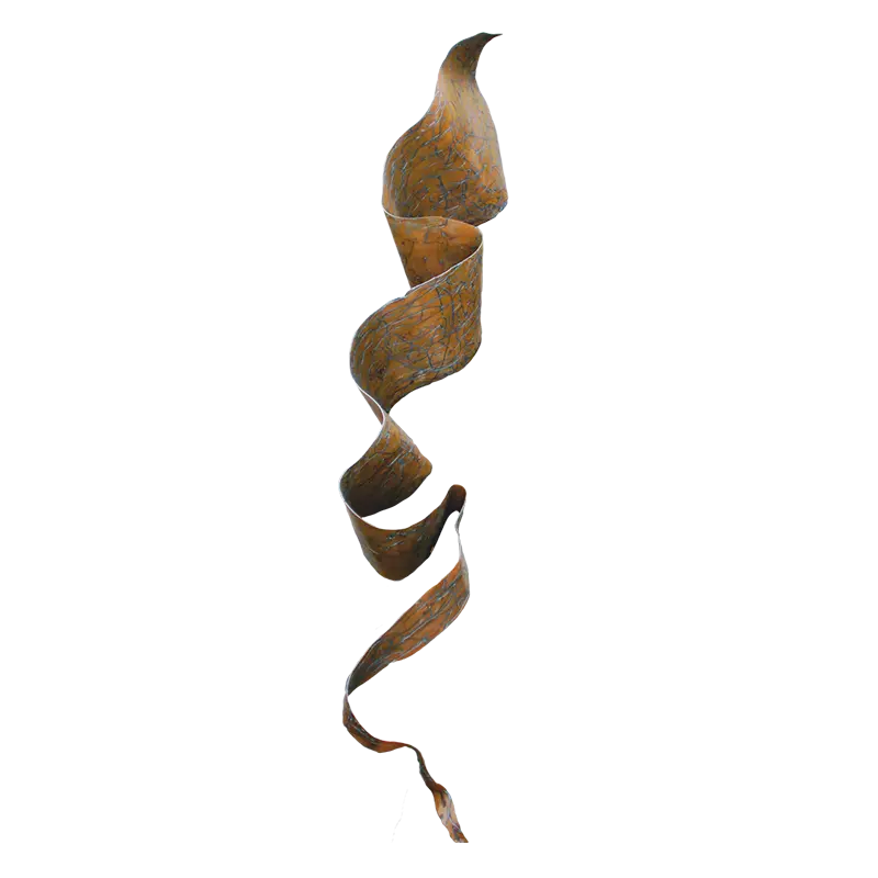 Kelp