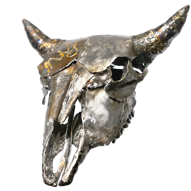 Skull Series: Buffalo Skull